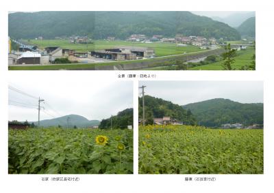 君田のひまわり畑 広島県三次市君田町藤兼 ひまわり畑ネット 君田のひまわり畑 広島県三次市君田町藤兼 ひまわり畑ネット