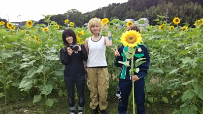 湖西 前向花畑 静岡県湖西市岡崎1667番地 ひまわり畑ネット