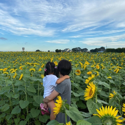 熱いぞ 太陽の花 ひまわり迷路で誰かを笑顔に 埼玉県熊谷市妻沼小島の地域内に14か所程度 ひまわり畑ネット 熱いぞ 太陽の花 ひまわり迷路で誰かを笑顔に 埼玉県熊谷市妻沼小島の地域内に14か所程度 ひまわり畑ネット