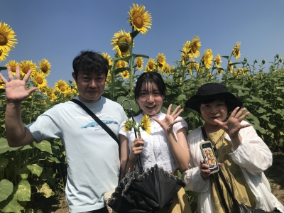 熊谷・葛和田のヒマワリ農園（第一農園 埼玉県熊谷市葛和田1428