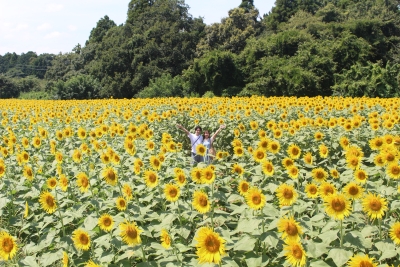 Cropped_Image_8.jpg?v=1721190869