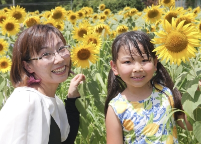 ひまわり柚遊農園（兵庫県丹波市春日町柚津913番地） - ひまわり畑ネット