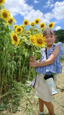 ひまわり柚遊農園（兵庫県丹波市春日町柚津913番地） - ひまわり畑ネット